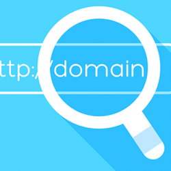 Your Domain Name is the First Impression You Will Make on the Public