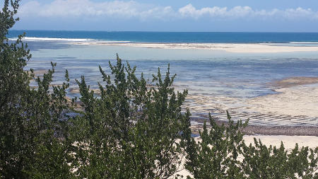 Bongoyo Island
