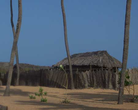 Fishing Hut