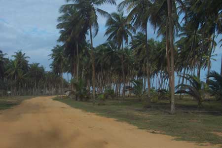 Route de Peche