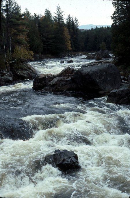 Cold River, Adirondacks