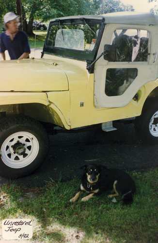 1992, Unrestored Max the Dog for size