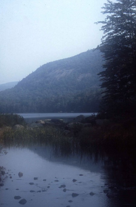 Tirell Pond