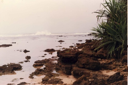 ujung kulon